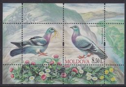 Moldova 708 - Birds 2010 M/S - MNH - Pigeons & Columbiformes