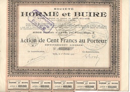 SOCIETE HORME ET BUIRE -LYON - LOT DE 3 ACTIONS DE CENT FRANCS -ANNEE 1917 - Industrie