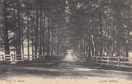 87 - Ambazac - Beau Cliché De L'Allée De Montmery - Ambazac