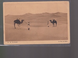 Cpa  Carte écrite  Année 1946     La Mer De Sable - El-Oued