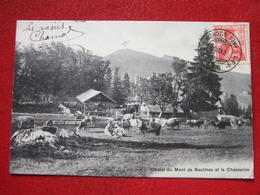 SUISSE - " CHALET DU MONT DE BAULMES ET LE CHASSERON " - VACHES, ENFANTS, FEMME ....Voir Les Scans - Baulmes