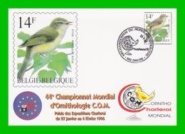 BUZIN - 2623 Pouillot Fitis - Carte Oblitérée 44e Championnat Mondial D'ornithologie à Charleroi 20 - 01 - 96 - 1985-.. Birds (Buzin)