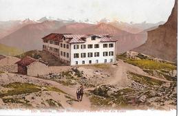 GEMMI → Hotel Wildstrubel Mit Saumtier, Ca.1910 - Trub