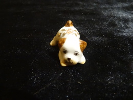 Chien Porcelaine - Dieren