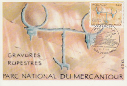 Carte Maximum  1er   Jour    MONACO    Parc  Du  Mercantour   Gravures  Rupestres    1989 - Prehistory