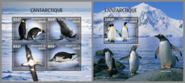 NIGER 2019 MNH Antarctica Animals Tiere Der Antarktis Animaux Antarctiques M/S+S/S - OFFICIAL ISSUE - DH2006 - Antarctic Wildlife