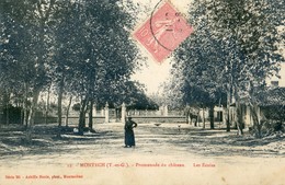 82 - Montech - Promenade Du Chateau - Les écoles - Montech