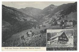 STEINTAL-Wattwil: Gruss Aus Pension Säntisblick 1923 - Stein