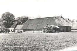 Uithuizen, Groninger Boerderij Bij Uithuizen - Uithuizen