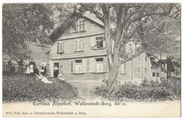 WALLENSTADT-BERG: Kurhaus Alpenhof Animiert ~1900 - Berg