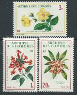 Comores N° 69 / 71 X   Fleurs, La Série Des 3 Valeurs Trace De Charnière Sinon TB - Zonder Classificatie