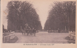 Le Haras Du Pin - L'Avenue Louis XIV - Exmes