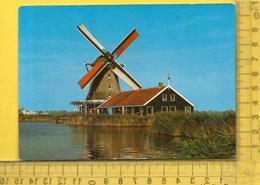 CPM  PAYS BAS, NOORD HOLLAND, ZAANSTAD : De Zaanse Schans, Oliemolen " De Zoeker - Zaanstreek