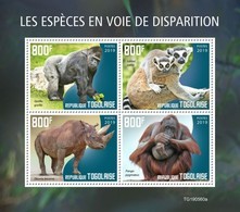 Togo 2019, Animals In Danger, Gorillas, Rhino, 4val In BF - Schimpansen