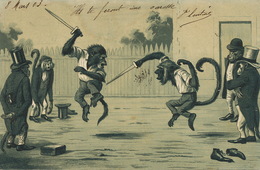 Escrime Comique Avec Singes / Monkeys Fencing . . Human Behaviour - Fencing