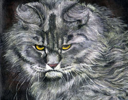 PEINTURE ACRYLIQUE SIGNEE MAEXI  CHAT MAINE COON - Acrylic Resins