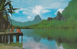 ¤¤   -  TAHITI   -  Lot De 6 Maxi-Cartes  -  BORA-BORA - MOORA - PUNAAUIA -  Voir Description      -  ¤¤ - Polynésie Française