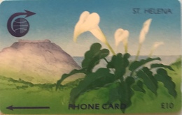 SAINTE-HELENE  -  Cable  § Wireless  -  Flower " Arum Lily "  -  £10,00 - St. Helena Island