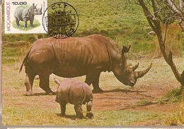 Mozambique & Maximum Card, Fauna, Rinoceronte, Rhinocerontidae 1980 (3558) - Rhinozeros