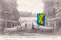 ENGHIEN - Parc Du Duc D'Arenberg - L'Avenue De L'Orangerie - Carte Circulé Le 3 Mars 1906 - Enghien - Edingen