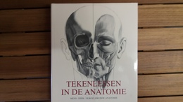 Tekenlessen In De Anatomie - Other & Unclassified