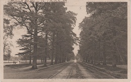 AK Southampton The Avenue Tramway Tram Asylum Green A Rockstone Place Park Parc Hampshire United Kingdom England UK - Southampton