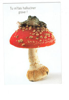 Cpm Humour - Tu Me Fais Halluciner Grave - Champignon Amanite Crapaud - Champignons