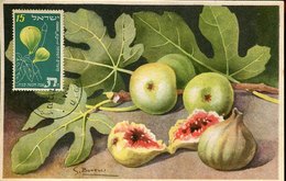 51511 Israel,  Maximum 1956  Feigen  Figs,  Fichi  Figues - Fruits