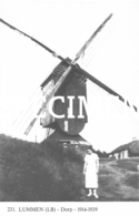 231 Dorp 1914-1939 Molen - Lummen - Lummen