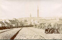 SAINT POL DE LEON ****  HOMMES DANS UN CHAMP APRES LES FENAISONS **** PHOTO ANCIENNE *** - Saint-Pol-de-Léon