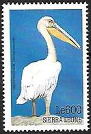 Sierra Leone - MNH 1999 -    Great White Pelican  - Pelecanus Onocrotalus - Pelícanos