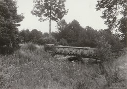 Boussu  - Ruines Du Château ... Photo  Années 80 ( 2 ) - Boussu