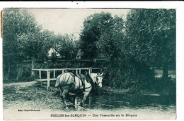 CPA-Carte Postale-FRANCE-Nielles-lès-Bléquin- Une Passerelle Sur Le Bléquin-1930 VM13109 - Lumbres