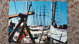 CPSM TAHITI PAPEETE POLYNESIE FRANCAISE LE PORT DES YACHTS PHOTO M LABAYSSE - Polynésie Française