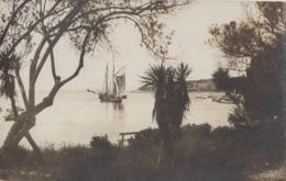 Photographie - Carte-photo - Carte Italienne - Paysage Mer - Bâteaux Pêche - Afrique Coloniale ? - Fotografie