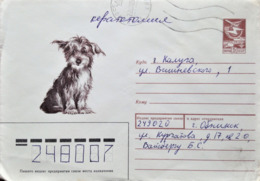 Russia & URSS,  Circulated Cover, "Dogs", 1989 - Lettres & Documents