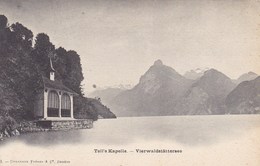 Tell's Kapelle, Vierwaldstättersee (pk68410) - Wald