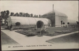 CPA, ALEXANDRIA, Nouzka Garden, The Green Houses, éd LL, écrite En 1915, Egypte - Alexandrie