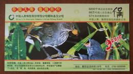 Sparrow Bird Pinecone Feeding,CN07 Life Instruance Poyang Branch Advert Pre-stamped Card,specimen Overprint - Passeri