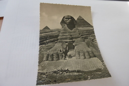 The Great Sphinx Of GIZA - Sphinx