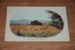 2381-           THE BEACONS FROM CRUG HILL, BRECON - Breconshire