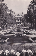 MONACO,MONTE CARLO - Monte-Carlo