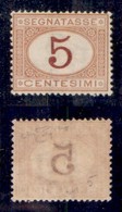 REGNO - SEGNATASSE - 1870 - 5 Cent (5) - Gomma Integra - Raybaudi (1500) - Altri & Non Classificati