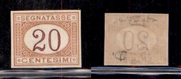 REGNO - SEGNATASSE - 1894 - 20 Cent (22g) Non Dentellato - Gomma Integra - Cert. Raybaudi (375) - Sonstige & Ohne Zuordnung