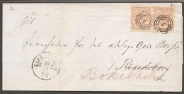 1865. Large Oval Type. 3 Skilling Lilac-rose. Perf. 13x12½. Pair On Cover From KJØBEN... (Michel 12A) - JF120551 - Covers & Documents