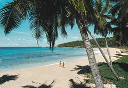 SEYCHELLES PLAGE SUR LA DIGUE (dil443) - Seychelles