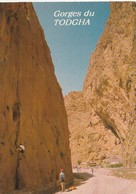 Carte Postale. Sud Marocain. Les Gorges Du Todgha. Lieu De Prédilection Des Varappeurs. Etat Moyen. - Alpinisme