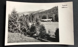 Naturfreundehütte Friedrich Haller/ Knofeleben/ Reichenau An Der Rax - Raxgebiet