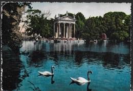 ROMA - VILLA BORGHESE - IL LAGHETTO - NUOVA - Parks & Gärten