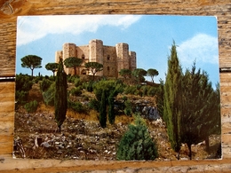 (FG.L58) ANDRIA - CASTEL DEL MONTE (BARLETTA ANDRIA TRANI) - Andria